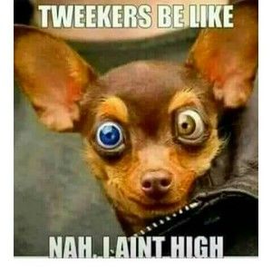 Meet your Posher, Katherine